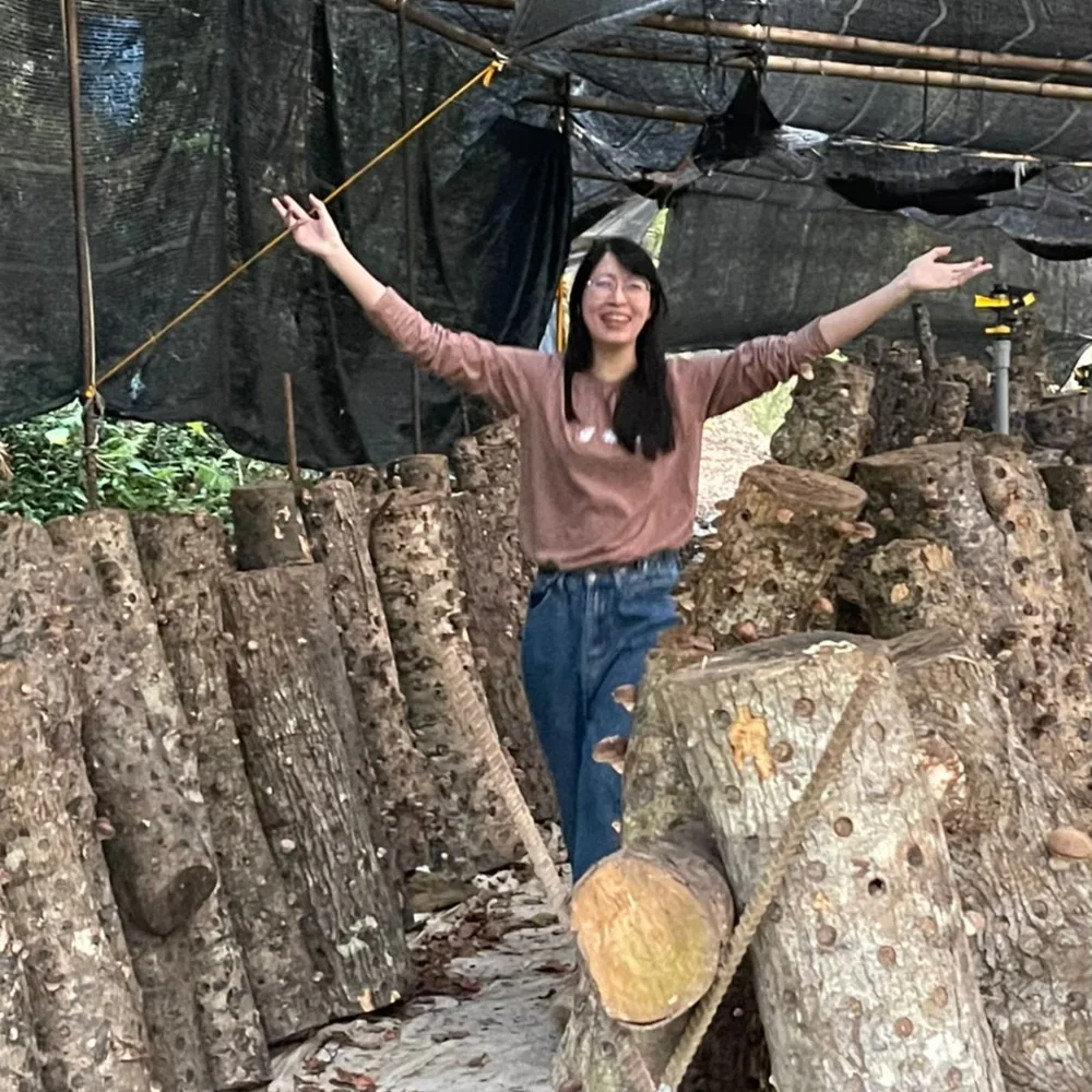 露嘎果園椴木香菇栽培環境實景